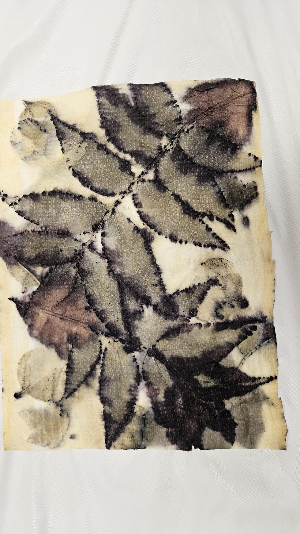 Thumbnail: Ecoprint Paper Kit for Botanical Printing, Leaf Printing & Papercrafts