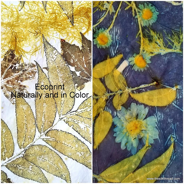 Dual ecoprint1 - Copy.jpg