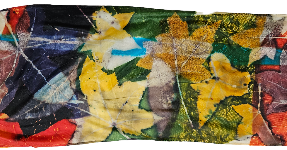 Design on Silk-Student work