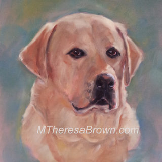 Yellow Lab