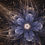 Thumbnail: Forget Me Not