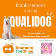 Vitrophanie QUALIDOG avec QR code1.png