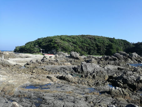 「泣いてしまう。」残り55日