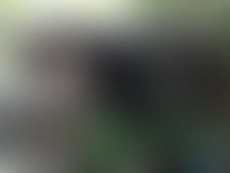 「野村さんの撮影」残り114日