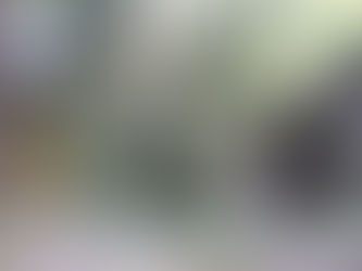 「100年後もここで遊びたい」残り90日