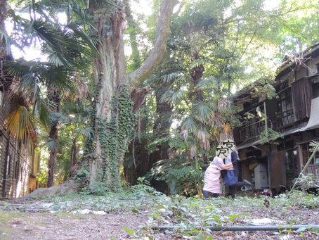 「100年後もここで遊びたい」残り90日