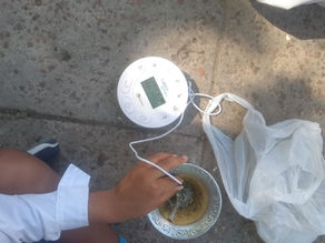 Picnic digital