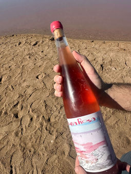 Botella del vino rosado Laguna Rosa sostenida junto a la orilla de la Laguna Rosa de Torrevieja