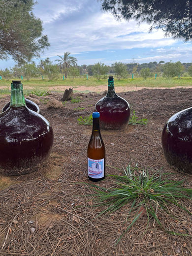 Botella de La Capilla rodeada de damajuanas durante su crianza al aire libre en Ferris