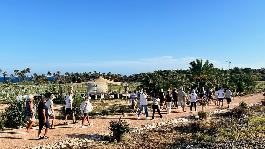 Grupo de visitantes recorriendo los viñedos de Universo Ferris durante una experiencia de enoturismo junto al Mediterráneo en Alicante