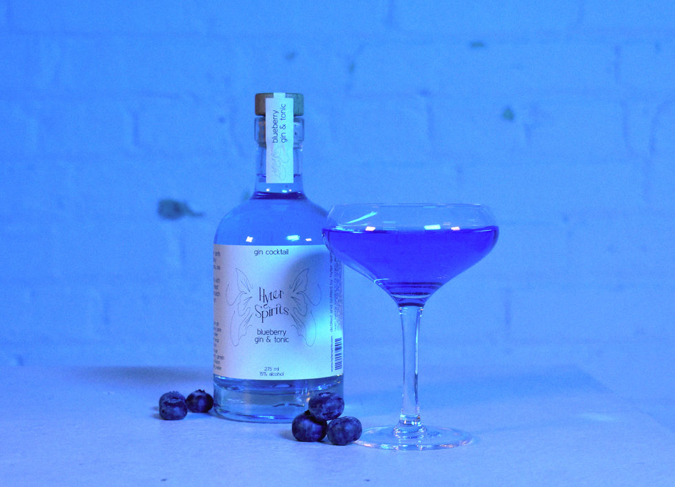 Hyter Spirits Bluberry Gin & Tonic Cocktail