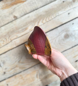 Amaranth & Bocote Ramen Bowl