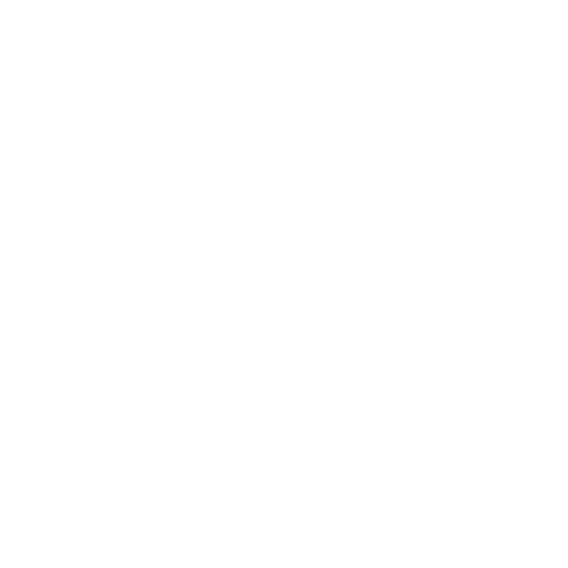 CHECKLIST ICON