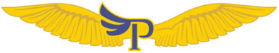 IPA Pilot Wing Symbol
