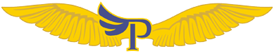 IPA Pilot Wing Symbol
