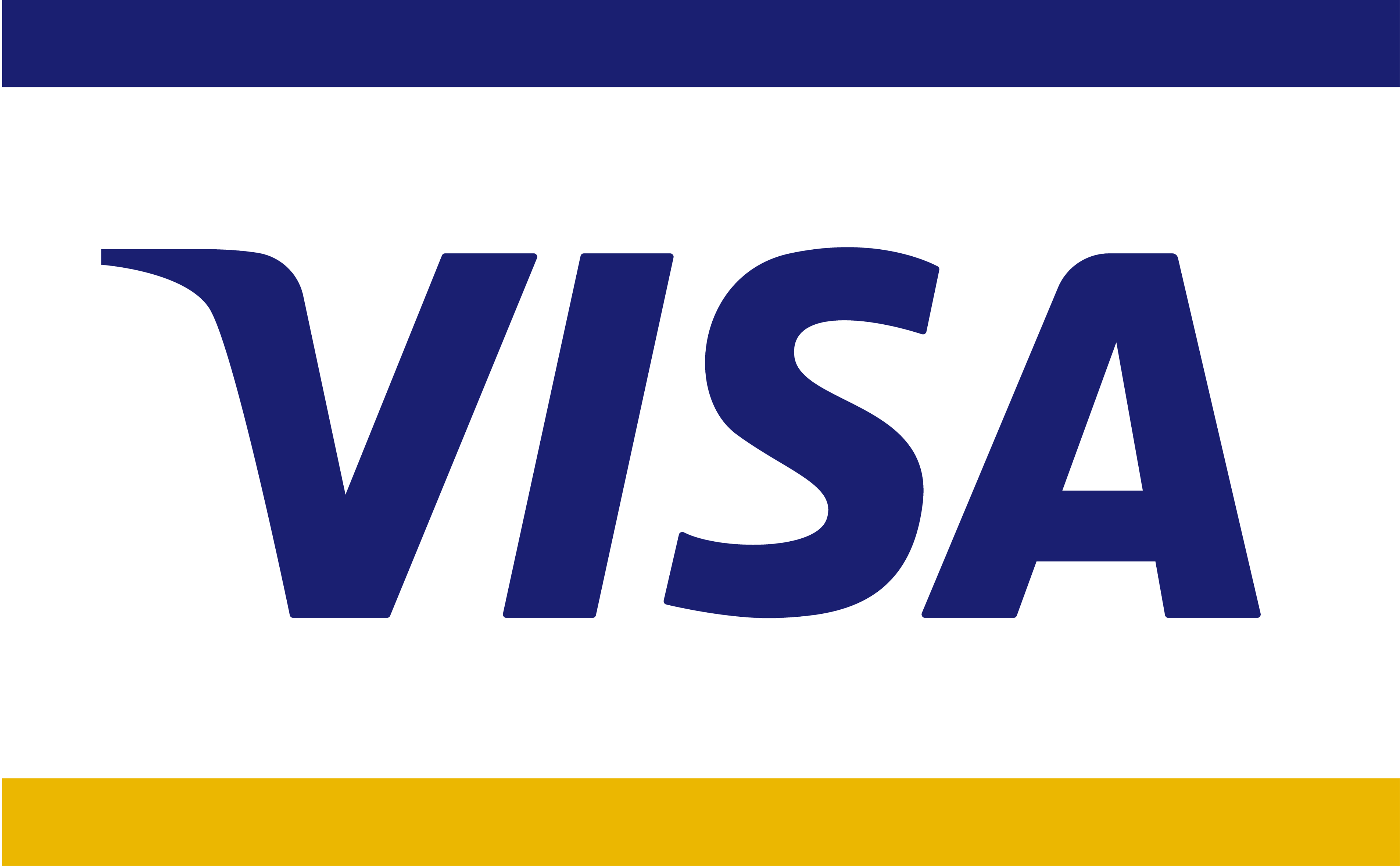 Visa-card.png