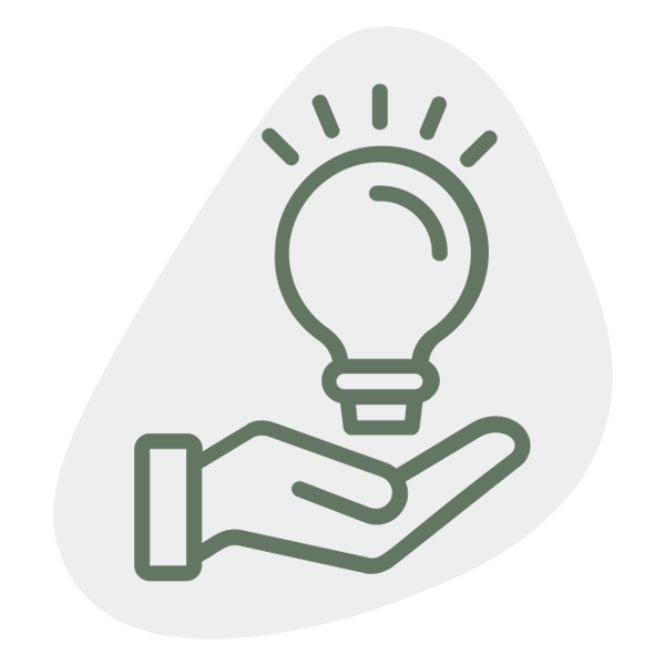 solution icon