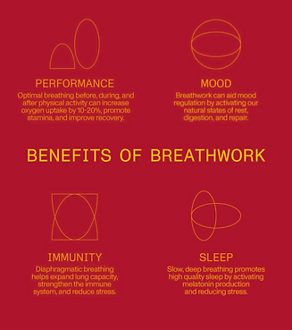 518bb26054d09252c50a982ed73b8cf7_edited_