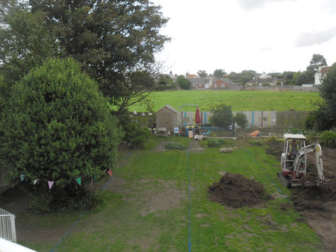 The Lawn in Progress