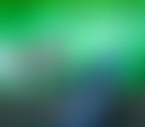 Stroll in the Sunshine