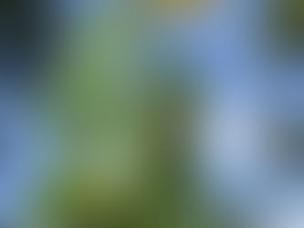 Settling into Nursery Life