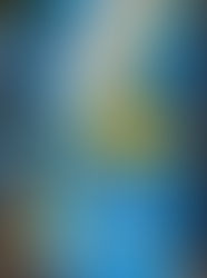 Happy St. David's Day