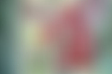 St. George and the Dragon