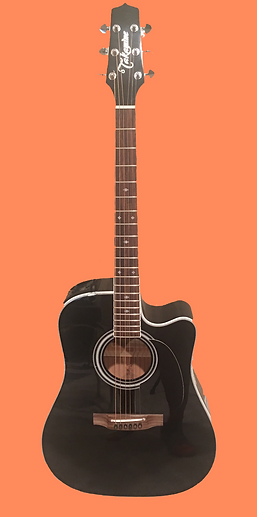 Takamine Accoustic.png