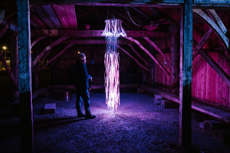 hyke studio_light_art_festival_068.jpg