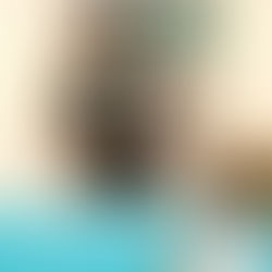 | 裝潢細清 | 桃園市八德區