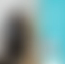 | 鐘點清潔 | 桃園市中壢區