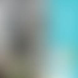 | 裝潢細清 | 桃園市龜山區