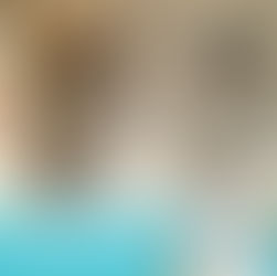 | 鐘點清潔 | 桃園市楊梅區