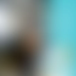 | 居家清潔 | 桃園市楊梅區