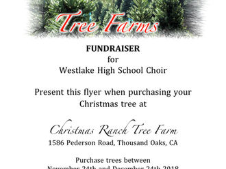 Christmas Tree Fundraiser!