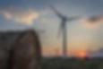 sustainable-2023-11-27-04-59-48-utc.jpg