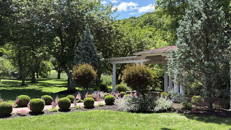 Dover Shade Tree Commission Has Deep Roots 