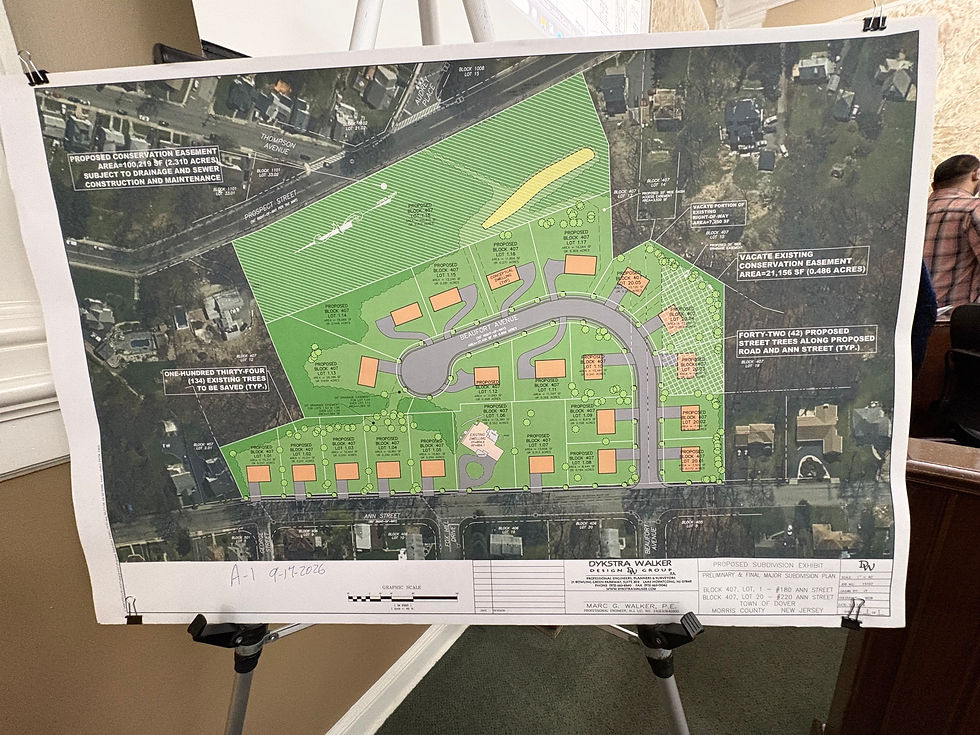 A rendering of the proposed development reveals the 22 parcels planned for construction. (Photo/DOVERNOW.com)
