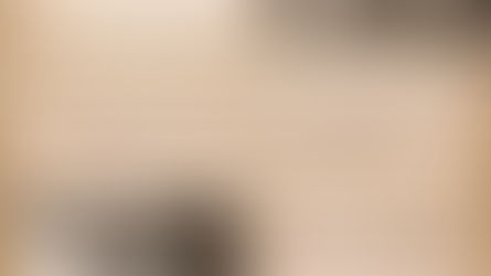 Dover Goes Back in Time at CCM Exhibit