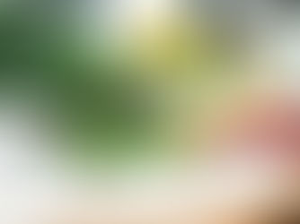 Stay Informed: Understand 2026 SNAP Changes