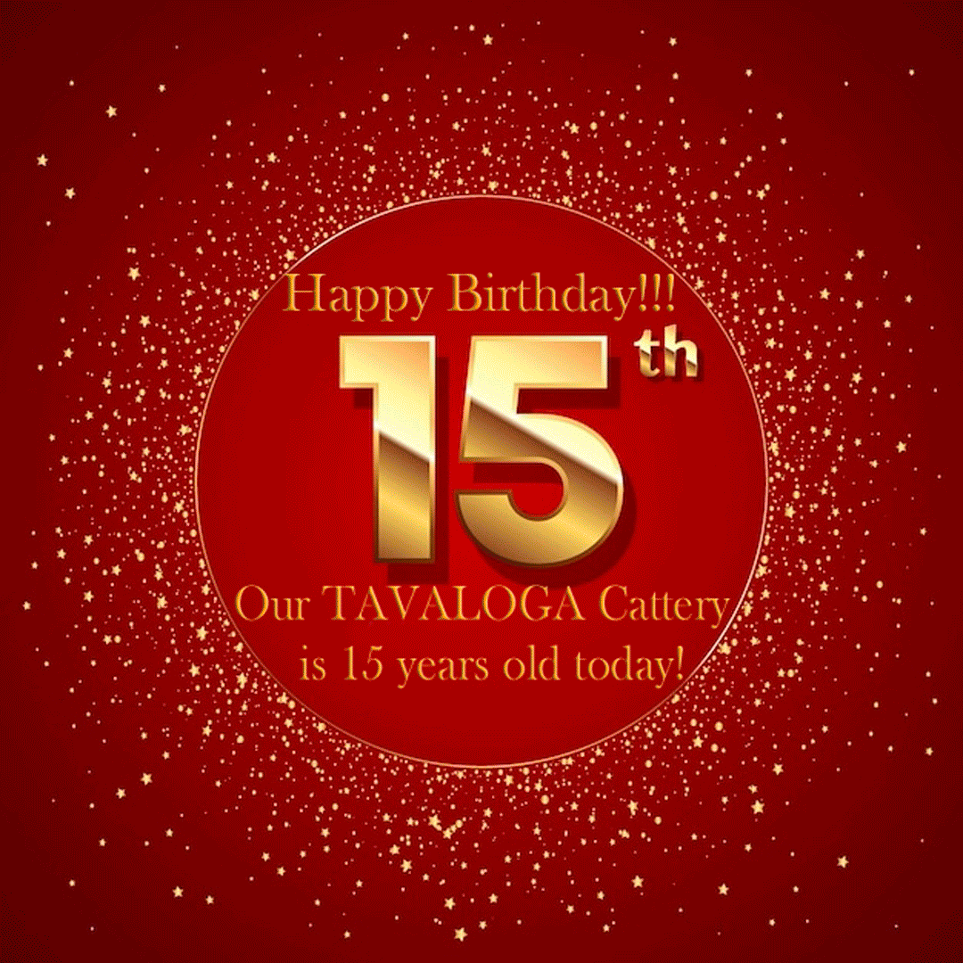 TAVALOGA-15-years-old.gif