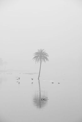 WhatsApp Image 2022-02-09 at 7.22.01 PM.jpeg