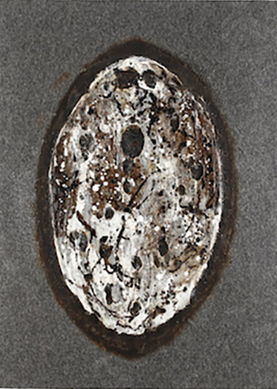 UNIVERSAL EGG