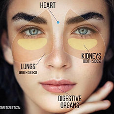 Face map showing Heart, Lungs, Kidneys, Digestive Organs
