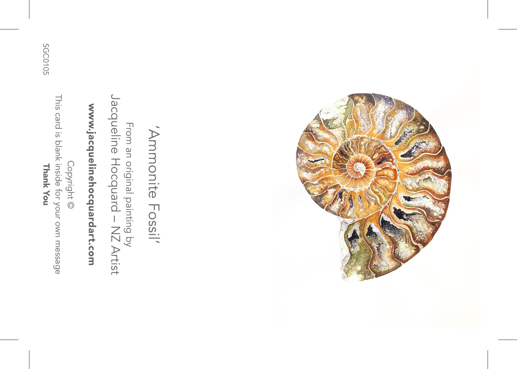 Ammonite Fossil - Mini card
