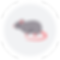 dfdgdfg (1).png