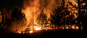 February 27th, 2026 - As Wildfire Seasons Converge, Firefighting Resources Face Growing Strain