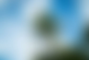 February 6th, 2026 - Haiti Faces Leadership Vacuum Amid Gang Violence and Political Crisis