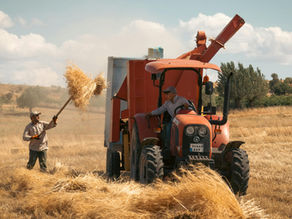 Crédito rural: quem pode acessar e quais são as regras