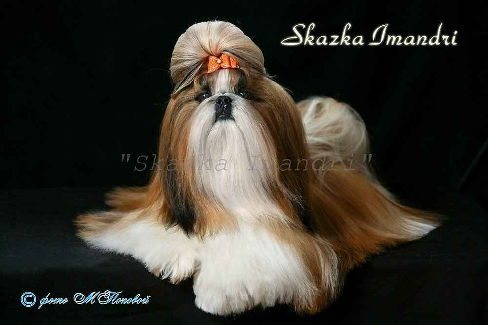 G. D. M. SUN SKAZKA IMANDRI